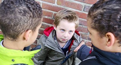 Гены заставляют маленьких детей становиться задирами, заявляют ученые