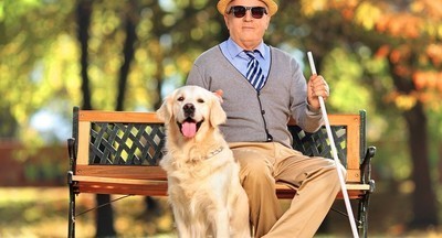 Красноярский школьник изобрел электронный поводырь для слабовидящих