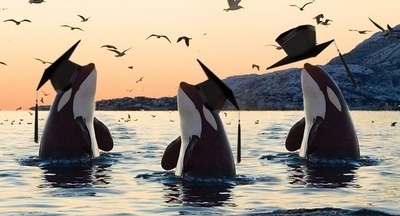 Три кита школы будущего