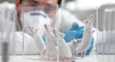 Университетам и научным центрам будет проще получать гранты, заявили в ЦСР