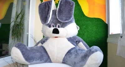 «Навел шороху»: из-за плюшевого зайца в Омске эвакуировали школу