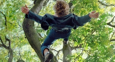 Подросток покалечился, упав с дерева во дворе школы в Москве