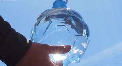 Бутылка – угроза пожара