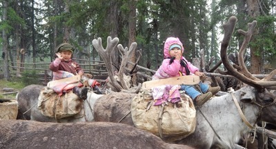 Дети оленеводов будут учиться в мобильных модулях