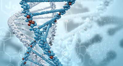 Родители смогут выбирать внешность будущих детей