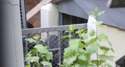 ​Завершено расследование дела подростка, устроившего стрельбу в школе в Ивантеевке