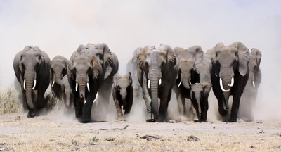 Макрорегионы: толчок для развития образования или фактор усиления неравенства?