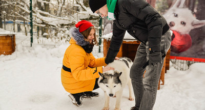3 главные премьеры каникул: выбор директоров школ, куда пойти с ребёнком