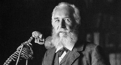 Из учебников по биологии предлагают убрать материалы о законе Геккеля