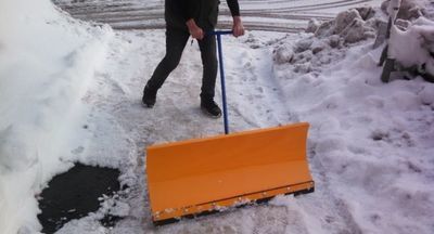 Саратовских ​учителей вывели на субботник в 20-градусный мороз