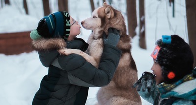 25 января для московских школьников открылся «Хаски парк» в Сокольниках 