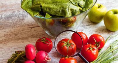 Следователи проверят сообщения о подмосковной школе, где кормили «просрочкой»