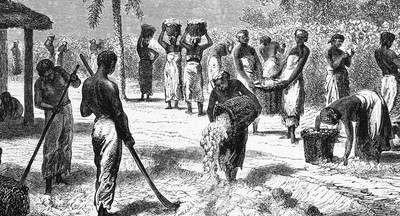 В США темнокожих школьников заставили собирать хлопок под «песни рабов»