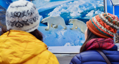 Московские школьники отправятся исследовать Арктику