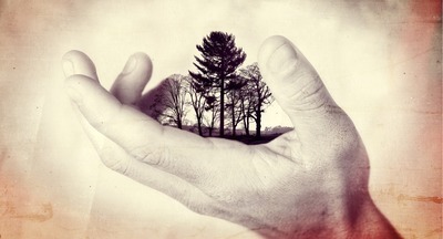 Жители села Якутии сажают деревья, чтобы школа не упала в овраг