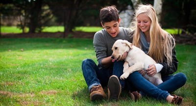 В британских школах могут появиться собаки-компаньоны