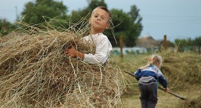 В Совете Федерации предложили вернуть трудовое воспитание в сельские школы в качестве пилотного проекта