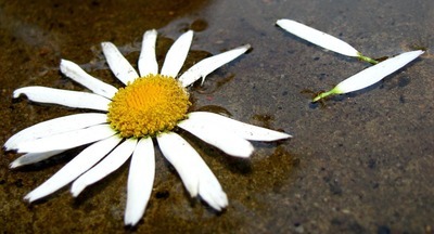 Причиной ЧП в казанской школе могла стать неразделённая любовь