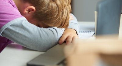 Австралийские школьники исследуют проблемы буллинга и плохой посещаемости