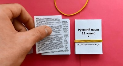 С ЕГЭ за нарушения удалили более 500 выпускников