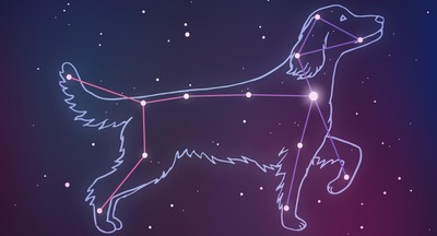 «Собачьи дни»: откуда взялись каникулы