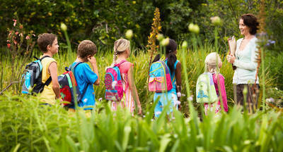 Владимир Жириновский предложил отменить экзамены для школьников и проводить уроки на улице