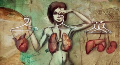 В школах Германии появятся уроки о донорстве органов