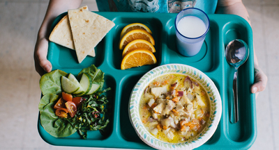 Вячеслав Володин ожидает, что закон о горячем питании в школах примут до конца года