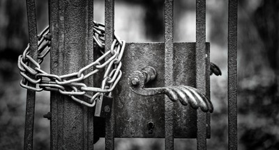 Хроника выживания авторской школы Щетинина