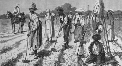 В США учителя отстранили от работы после того, как он дал задание установить цену на «живой товар»