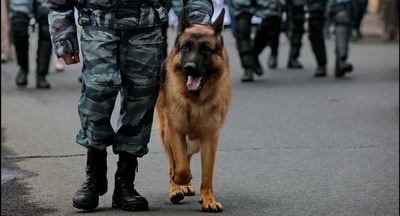 Сообщение о «минировании» более 130 московских школ поступало от пользователя «Юра Хой»