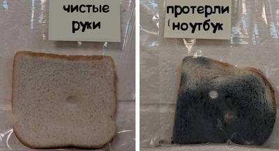 Мойте руки перед едой!