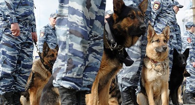В Хабаровске эвакуировали все школы из-за сообщений об угрозе взрыва