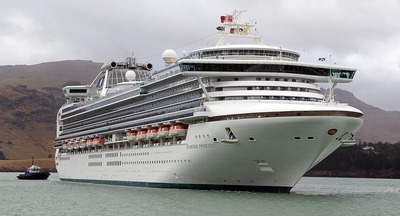 Роспотребнадзор подтвердил коронавирус у троих россиян с Diamond Princess