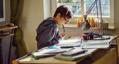 Минпросвещения разрабатывает новую модель обучения на дому