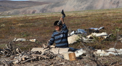 На Чукотке почти половина выпускников отказалась от ЕГЭ