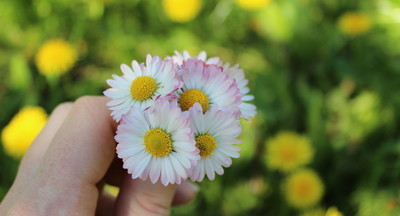 Воспитательница детского дома в Твери ударила ребёнка за вырванный цветок