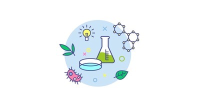 ​«Я дала себе право на 5 ошибок». Учитель химии сдала ЕГЭ на 100 баллов