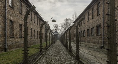 Опрос: 11% молодых американцев винят в холокосте евреев