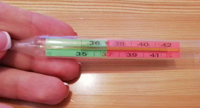 Школы уходят на досрочные каникулы из-за неправильно подобранных мер профилактики коронавируса?