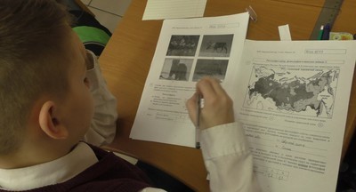 Российские школьники троллят Всероссийские проверочные работы