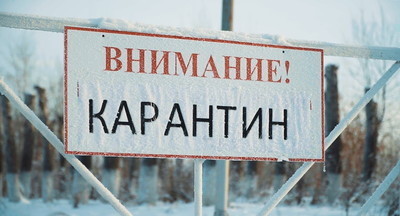 Карантин из-за коронавируса введен в 103 школах в 36 регионах России