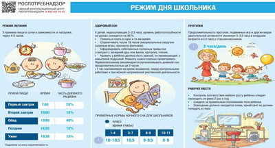 Верится с трудом: Роспотребнадзор выпустил рекомендации по организации дня школьника