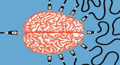 Минобрнауки опровергло разработку федеральной программы по чипированию мозга