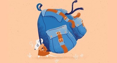 Как семья может помочь первокласснику быть успешным в школе