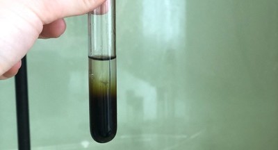 Десятиклассница столичной школы № 1354 «Вектор» разработала рецепт натурального и экологически чистого мыла из дремы белой