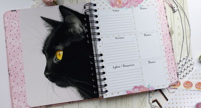 Курганским ученикам запретили покупать дневники с котятами