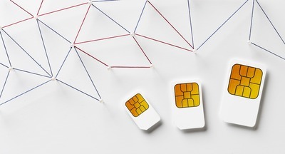 Володин призвал скорее ввести в оборот детские sim-карты